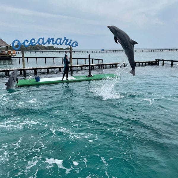 Baru + Isla del Rosario - Imagen 4