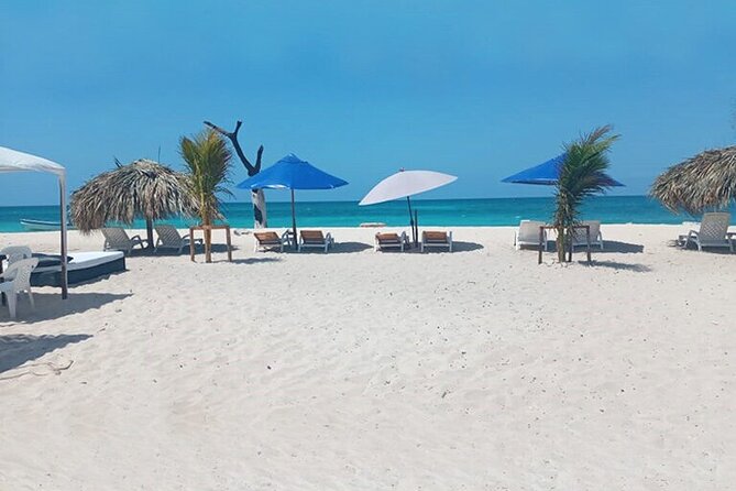 Playa Tranquila + Planctón - Imagen 6