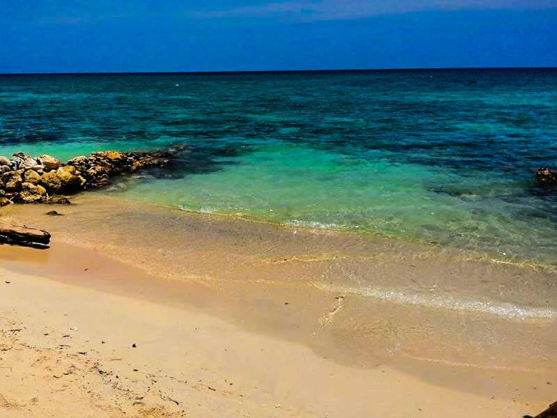 Playa Tranquila + Planctón - Imagen 9