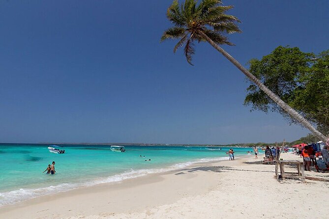 Playa Tranquila + Planctón - Imagen 10